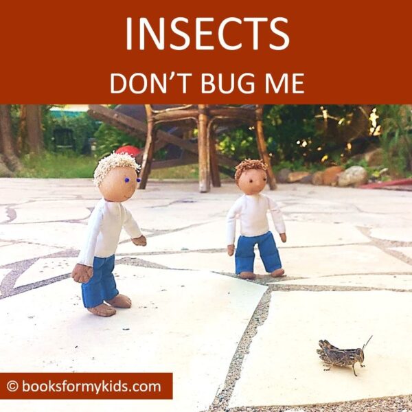 Insects Don't Bug Me