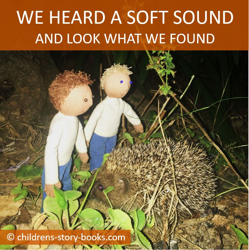 Picture book for children about hedgehogs